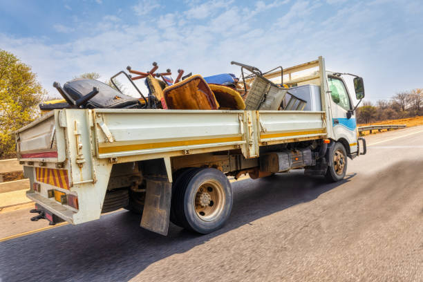 Best Shed Removal  in Canutillo, TX